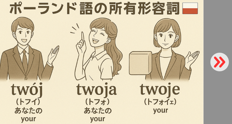 所有形容詞について