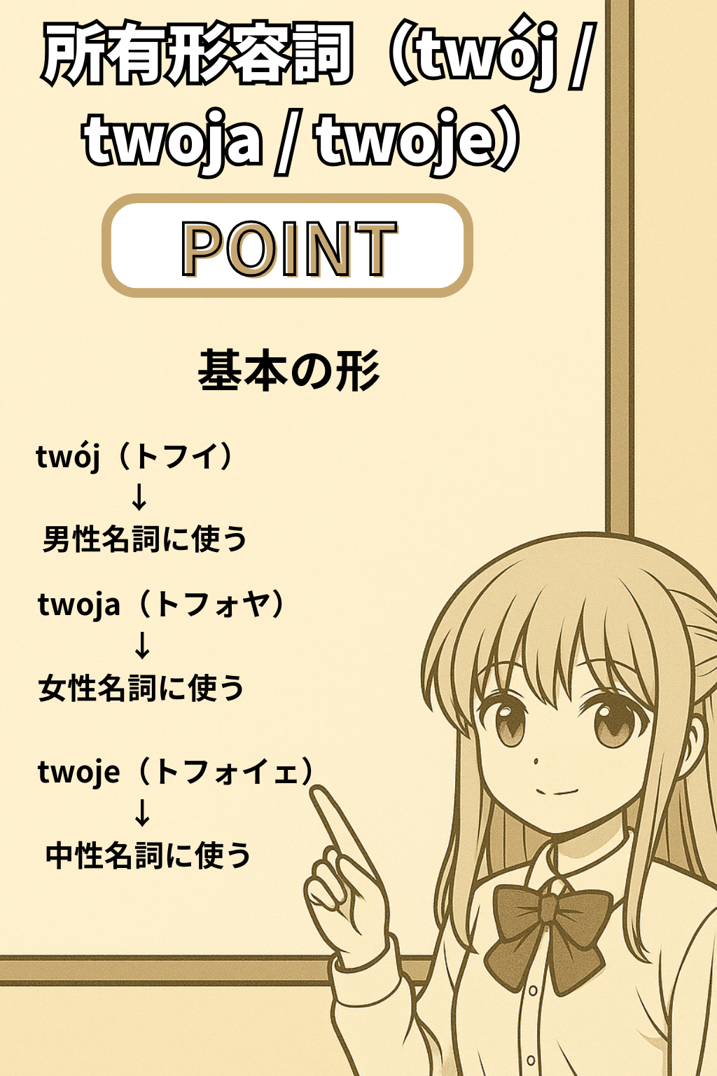 英語とポーランド語の所有形容詞比較グラフ